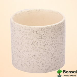 Get this beautiful textured ceramic bonsai pot