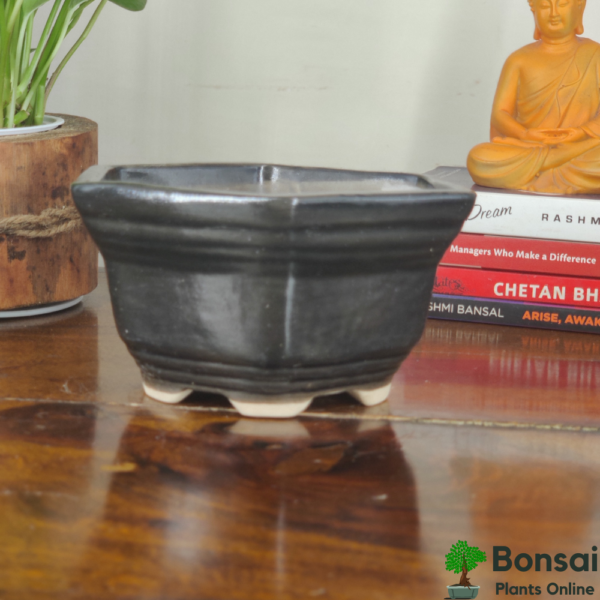 Get this hexagonal glazed ceramic bonsai pot