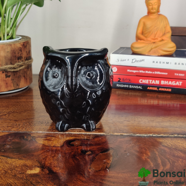 Get this beautiful and unique glazed ceramic bonsai pot