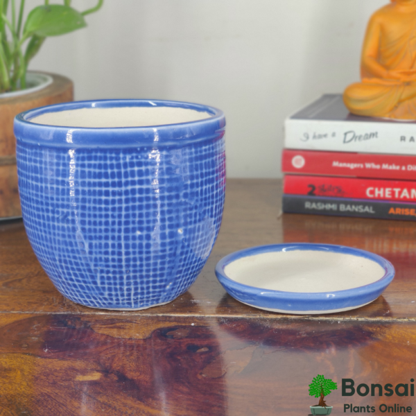 Get the dia style glazed ceramic pot