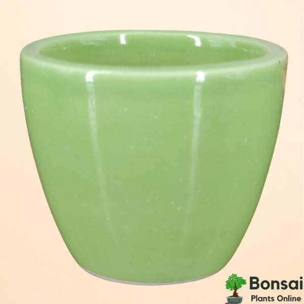 Get this beautiful colored ceramic bonsai flowerpot