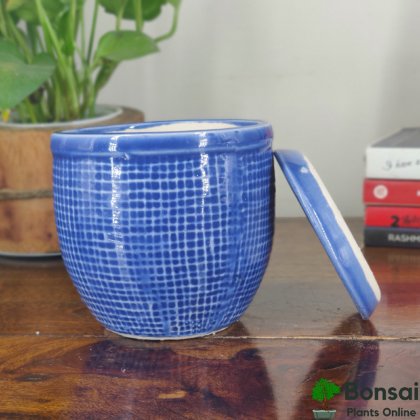Get the dia style glazed ceramic pot