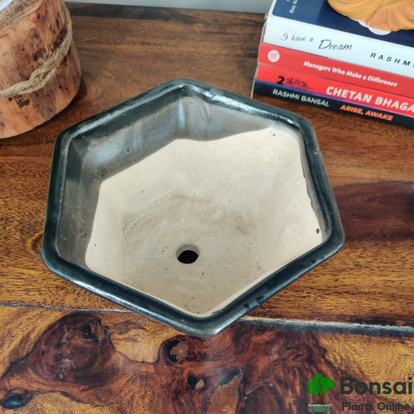 Get this hexagonal glazed ceramic bonsai pot