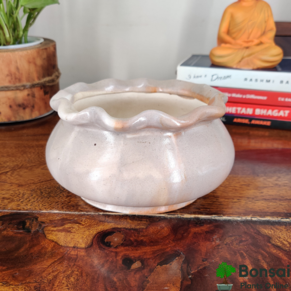 Get the beautiful pot-bellied ceramic bonsai pot