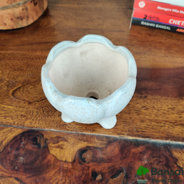 Get this glazed and rounded and ceramic bonsai pot