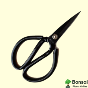 Get these bonsai shears for easy pruning